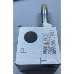 005.103.0X1 Popet Valf
