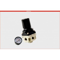 AR2000-02 1/4 Kare Regülatör ( Expflex)