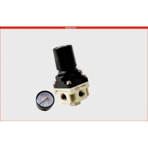AR2000-02 1/4 Kare Regülatör ( Expflex)