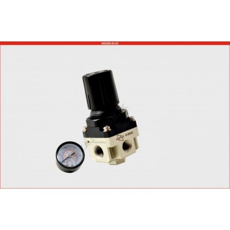 AR2000-02 1/4 Kare Regülatör ( Expflex)