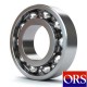 Rulman 6000 Serisi
